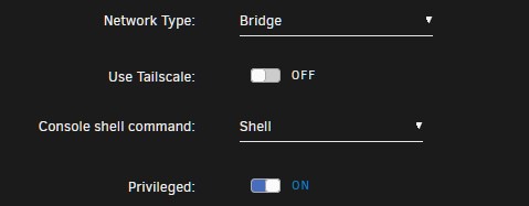 extra parameters is edited to include --runtime=nvidia --gpus=all